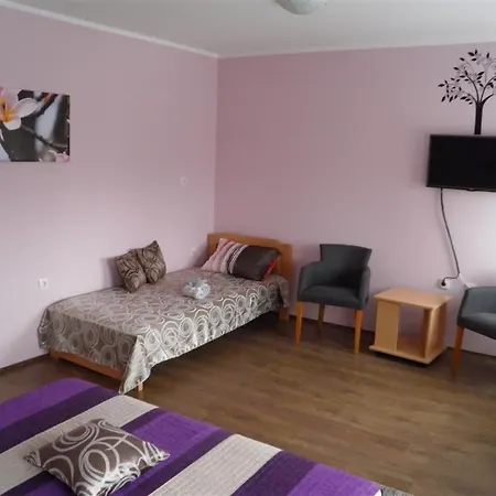 Zmajevo Gnezdo 021 Bed & Breakfast Sremska Kamenica