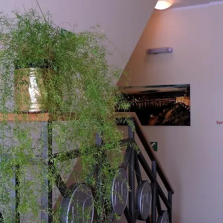 Zmajevo Gnezdo 021 فندق مبيت وإفطار 4*