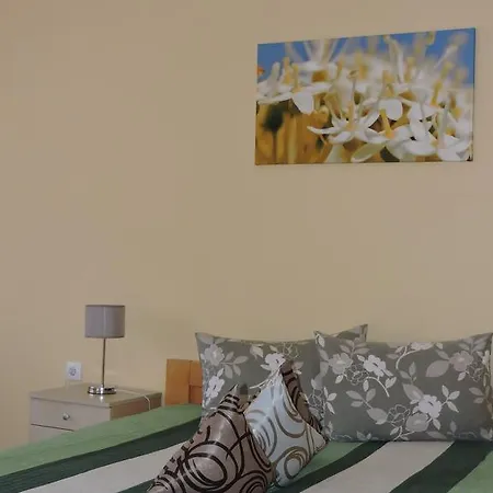 Bed & Breakfast Zmajevo Gnezdo 021 *