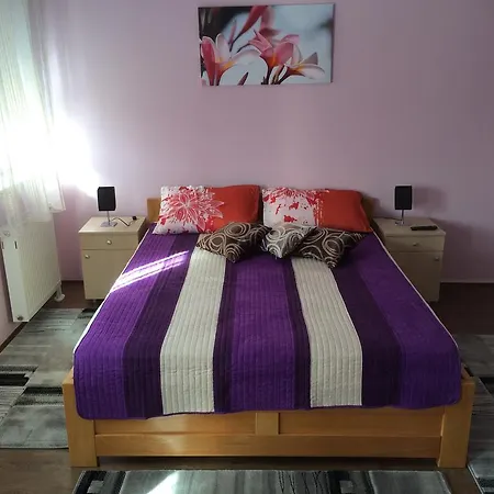 Zmajevo Gnezdo 021 Sremska Kamenica